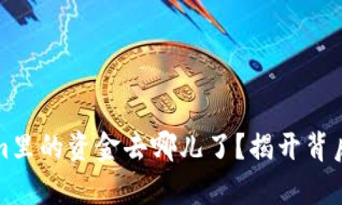 你在Tokenim里的资金去哪儿了？揭开背后真相的谜团