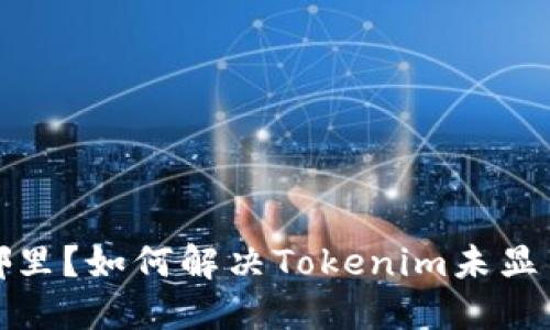 你的代币在哪里？如何解决Tokenim未显示代币的问题