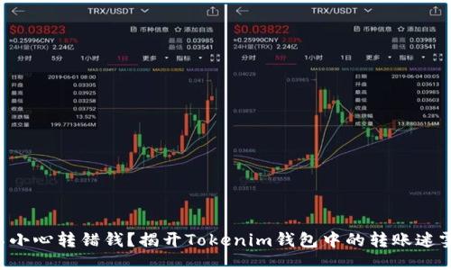 “不小心转错钱？揭开Tokenim钱包中的转账迷雾！”