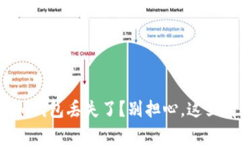 你的Tokenim钱包丢失了？别担心，这里有解决方案！