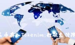 如何将人民币存入Tokenim：打破支付障碍的挑战！