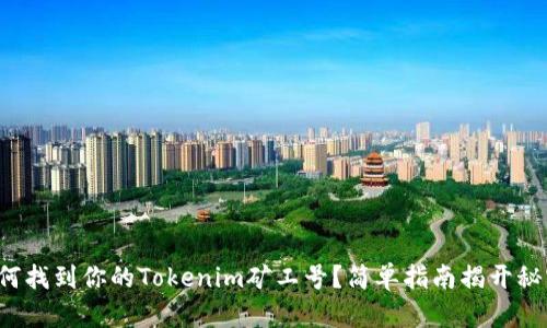 如何找到你的Tokenim矿工号？简单指南揭开秘密！