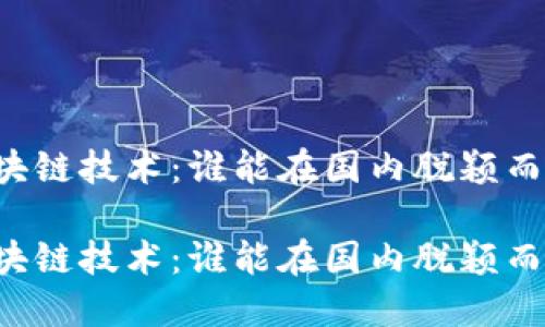 区块链技术：谁能在国内脱颖而出？

区块链技术：谁能在国内脱颖而出？