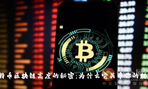 揭秘比特币区块链高度的秘密：为什么它关乎你的财富未来？