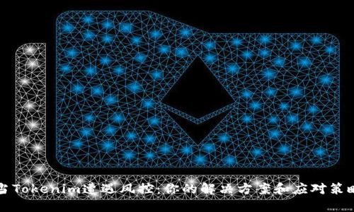 当Tokenim遭遇风控：你的解决方案和应对策略