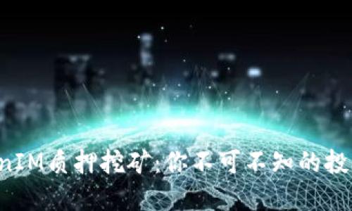 波卡TokenIM质押挖矿：你不可不知的投资新机会！