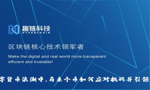 在数字货币浪潮中，马来个币如何应对挑战并引领未来？