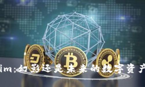 Tokenim：幻影还是未来的数字资产新星？