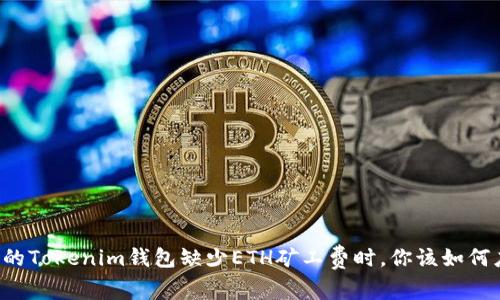 当你的Tokenim钱包缺少ETH矿工费时，你该如何应对？