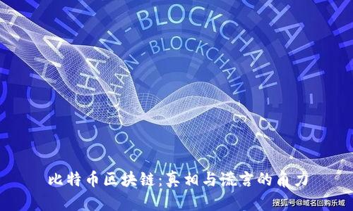 比特币区块链：真相与谎言的角力