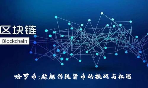 哈罗币：超越传统货币的挑战与机遇