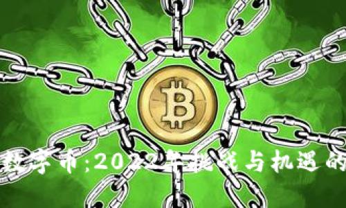 区块链与数字币：2022年挑战与机遇的深度探讨