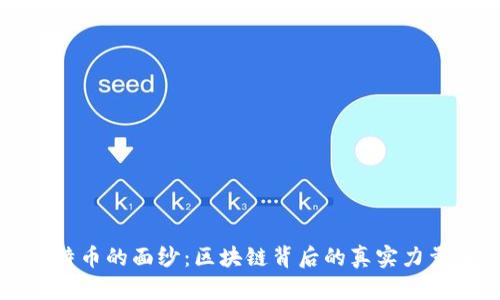 揭开比特币的面纱：区块链背后的真实力量与挑战