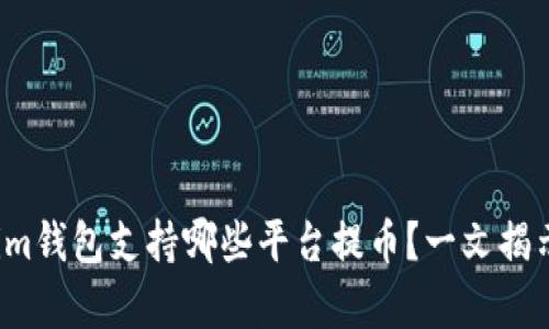Tokenim钱包支持哪些平台提币？一文揭示真相！