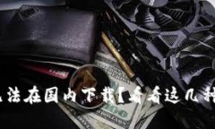 Tokenim无法在国内下载？看看这几种解决方案！