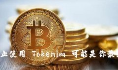 为什么停止使用 Tokenim 可能是你最好的选择？