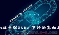 从Tokenim提币到OKEx：等待的真相与理想时间