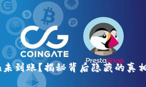 货币转Token未到账？揭秘背后隐藏的真相与解决方案！