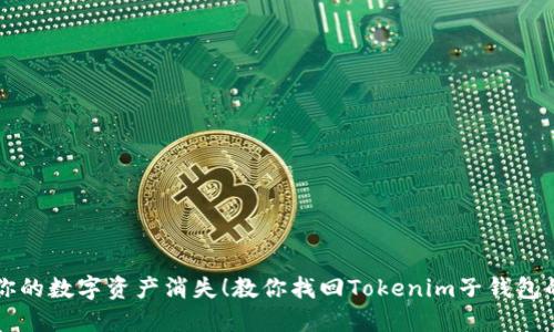 别让你的数字资产消失！教你找回Tokenim子钱包的方法