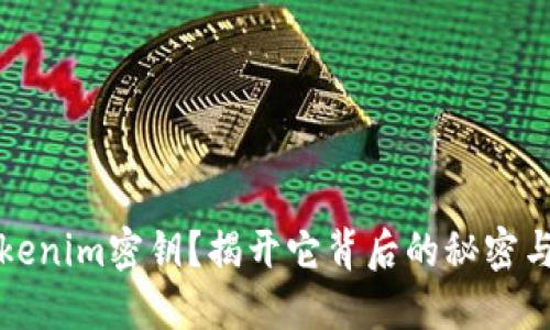 什么是Tokenim密钥？揭开它背后的秘密与应用挑战