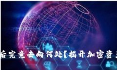 Tokenim质押后究竟去向何处？揭开加密资产背后的