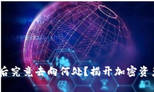 Tokenim质押后究竟去向何处？揭开加密资产背后的秘密！