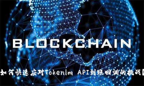 如何快速应对Tokenim API到账回调的挑战？