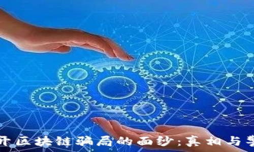  
揭开区块链骗局的面纱：真相与警示