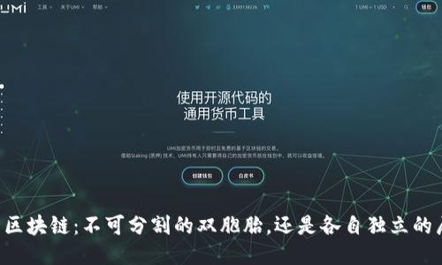 币与区块链：不可分割的双胞胎，还是各自独立的局部?