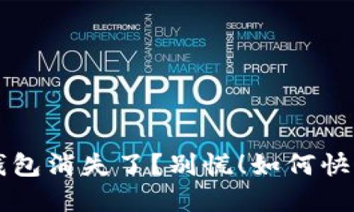 你的TokenTokenim钱包消失了？别慌！如何快速找回你的数字资产！