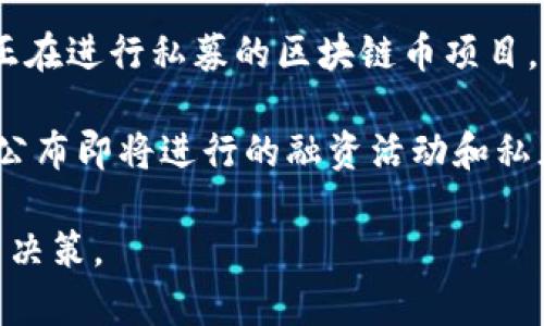 在区块链领域，私募是一个重要的筹资方式，许多项目通过这种方式来获得启动资金。然而，我无法提供实时的信息，关于最近正在进行私募的区块链币项目，建议您访问一些专门的加密货币资讯网站、社交媒体群组或相关论坛。一般来说，这些平台会提供最新的投资机会和项目动态。

您也可以关注一些知名的区块链项目和他们的官方渠道，比如他们的官方网站、社交媒体账号以及新闻发布，这些地方通常会公布即将进行的融资活动和私募信息。

如果您对某个特定币种或项目感兴趣，建议多做一些研究，了解其团队背景、技术原理以及市场前景，以便做出更为明智的投资决策。