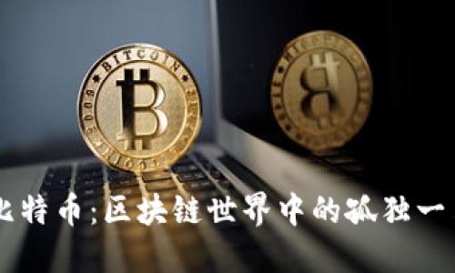 比特币：区块链世界中的孤独一角