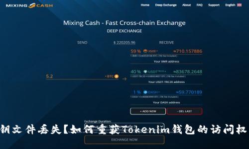 密钥文件丢失？如何重获Tokenim钱包的访问权限！