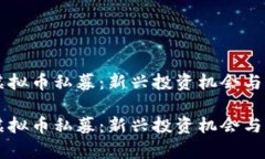 区块链虚拟币私募：新兴投资机会与风险分析区