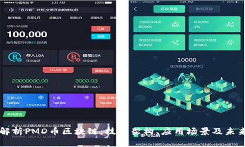 全面解析PMD币区块链：技术架构、应用场景及未来展望