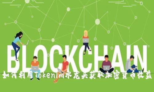 如何利用Tokenim水龙头获取加密货币收益