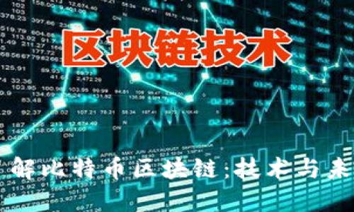 深入了解比特币区块链：技术与未来展望