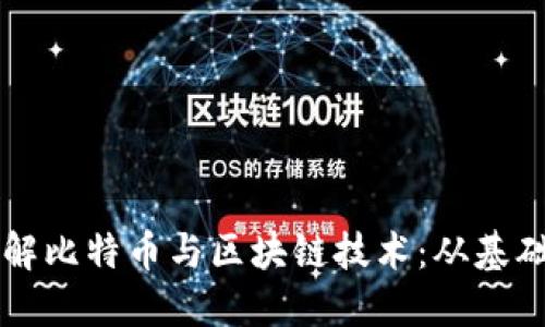 深入理解比特币与区块链技术：从基础到应用