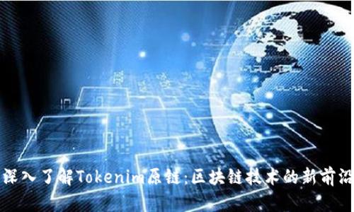 深入了解Tokenim原链：区块链技术的新前沿