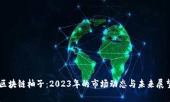 区块链柚子：2023年的市场动态与未来展望