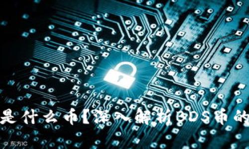 区块链BDS是什么币？深入解析BDS币的特点与应用