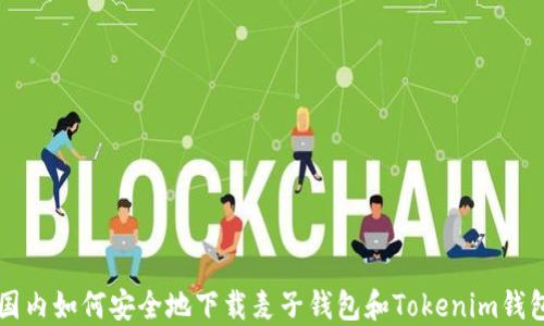 
国内如何安全地下载麦子钱包和Tokenim钱包
