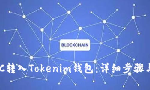 如何将WTC转入Tokenim钱包：详细步骤与注意事项