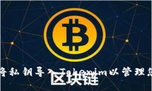 如何安全地将私钥导入Tokenim以管理您的数字资产