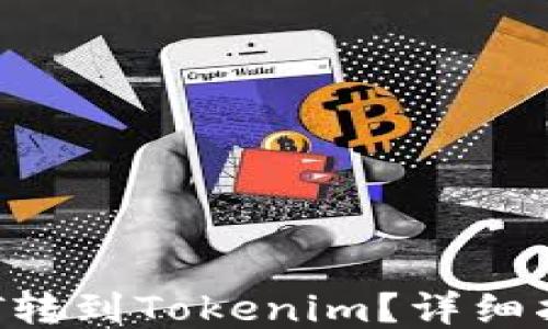 
如何将DOT转到Tokenim？详细指南与技巧