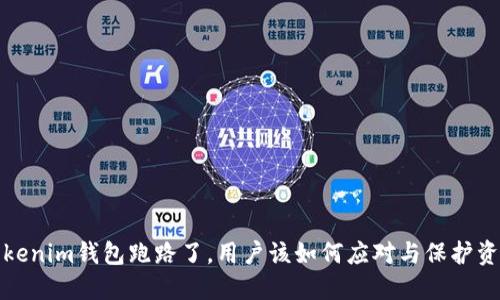 Tokenim钱包跑路了，用户该如何应对与保护资产