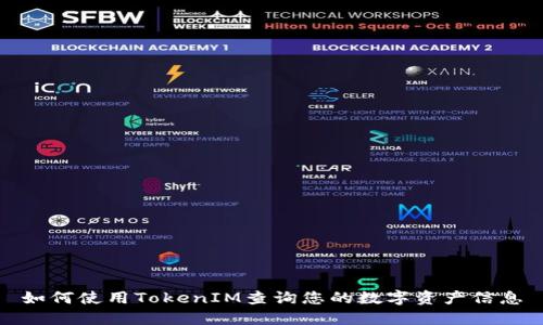 如何使用TokenIM查询您的数字资产信息