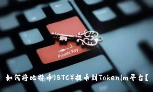 如何将比特币（BTC）提币到Tokenim平台？