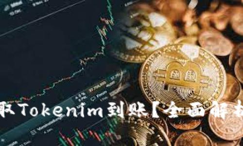 如何成功获取Tokenim到账？全面解析及实用指南