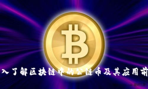 深入了解区块链中的公链币及其应用前景